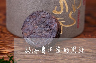 勐海普洱茶的用处/2023041098273