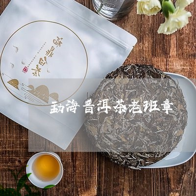 勐海普洱茶老班章/2023041348482