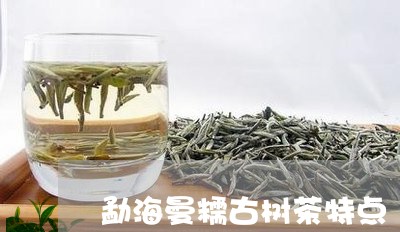 勐海曼糯古树茶特点/2023032213848