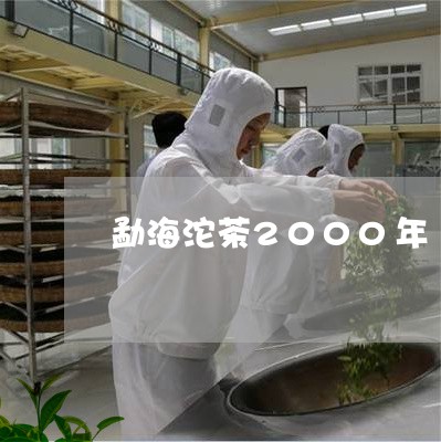 勐海沱茶2000年/2023032122816