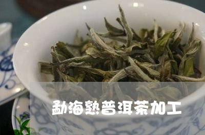 勐海熟普洱茶加工/2023031749595