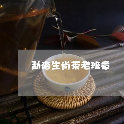 勐海生肖茶老班章/2023032957513