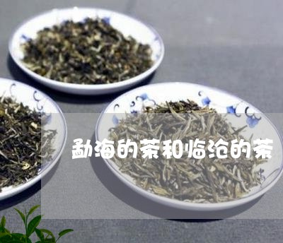 勐海的茶和临沧的茶/2023032293968