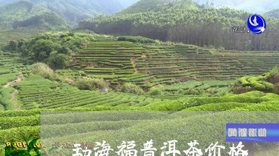 勐海福普洱茶价格/2023041008350