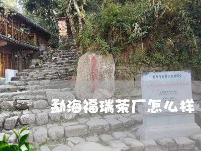 勐海福瑞茶厂怎么样/2023032114237