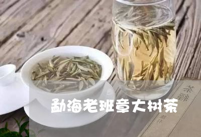 勐海老班章大树茶/2023032983026