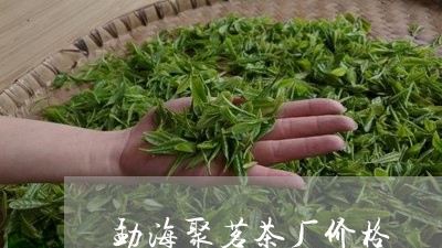 勐海聚茗茶厂价格/2023032509571