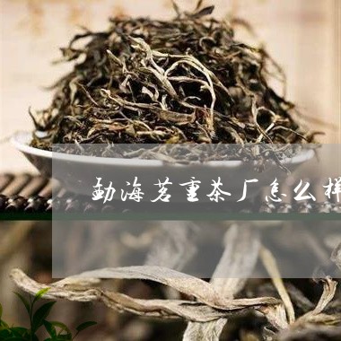 勐海茗重茶厂怎么样/2023032169472