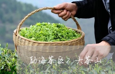 勐海茶区7大茶山/2023041316492