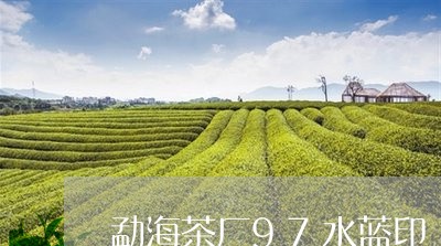 勐海茶厂97水蓝印/2023032114937