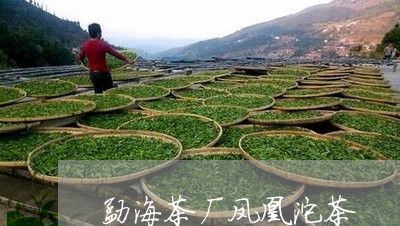 勐海茶厂凤凰沱茶/2023032579492