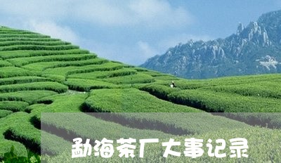 勐海茶厂大事记录/2023032500382