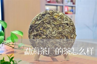 勐海茶厂的茶怎么样/2023032126937