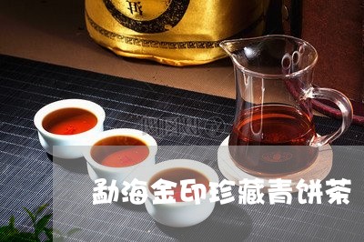 勐海金印珍藏青饼茶/2023032222826