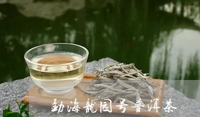 勐海龙园号普洱茶/2023041044370