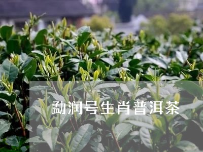 勐润号生肖普洱茶/2023031629573