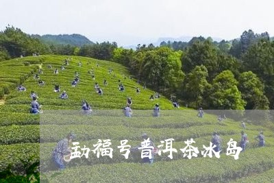 勐福号普洱茶冰岛/2023031784814