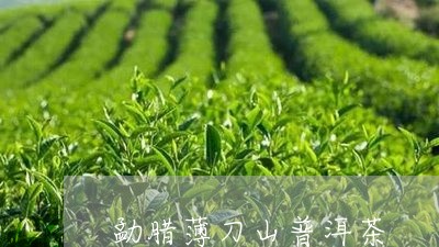 勐腊薄刀山普洱茶/2023031883148