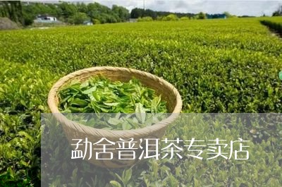 勐舍普洱茶专卖店/2023033191504