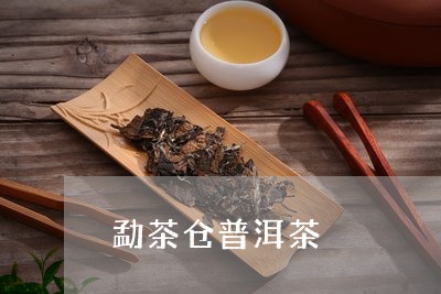 勐茶仓普洱茶/2023031610613