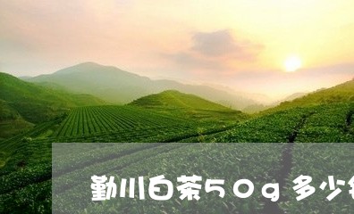 勤川白茶50g多少钱一罐/2023033130692