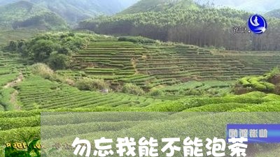 勿忘我能不能泡茶/2023032408270