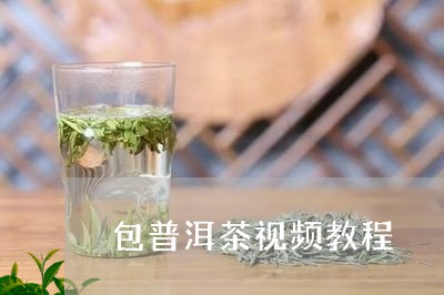 包普洱茶视频教程/2023031651404