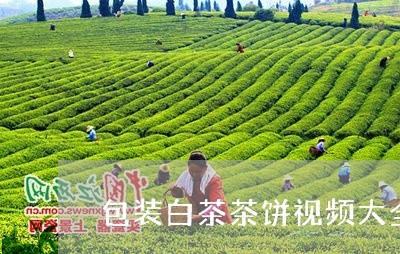 包装白茶茶饼视频大全真实/2023040176150