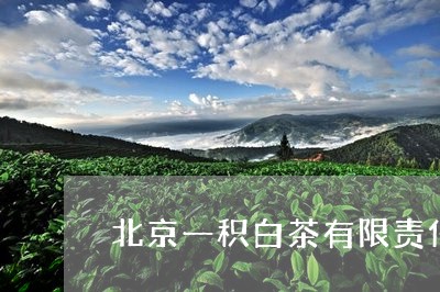 北京一积白茶有限责任公司/2023040229251