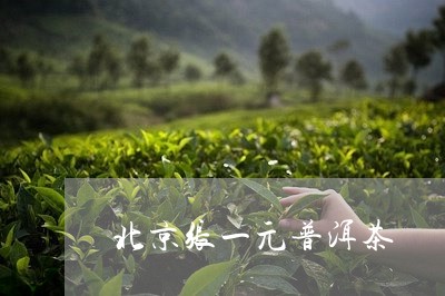 北京张一元普洱茶/2023033103694