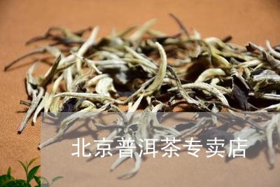 北京普洱茶专卖店/2023041369504