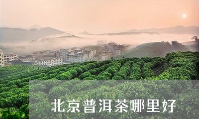 北京普洱茶哪里好/2023041015958