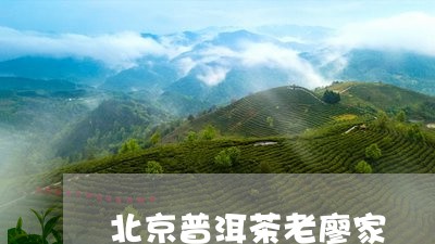 北京普洱茶老廖家/2023040139383