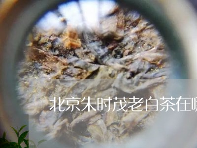 北京朱时茂老白茶在哪里卖/2023040148562