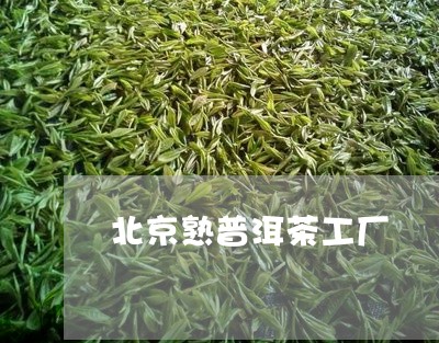 北京熟普洱茶工厂/2023031683159