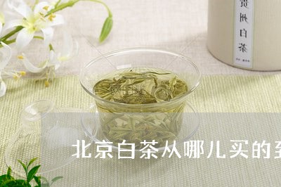 北京白茶从哪儿买的到正品/2023040131714