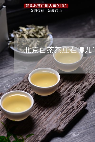 北京白茶茶庄在哪儿啊上海/2023040126291