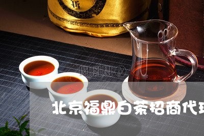 北京福鼎白茶招商代理电话/2023040168461