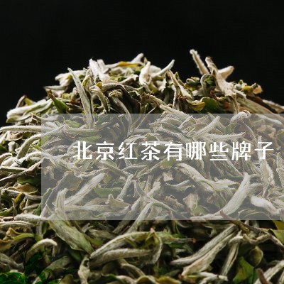 北京红茶有哪些牌子/2023041691585