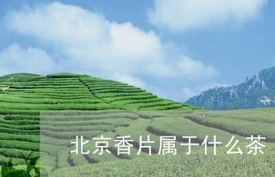 北京香片属于什么茶/2023031962935