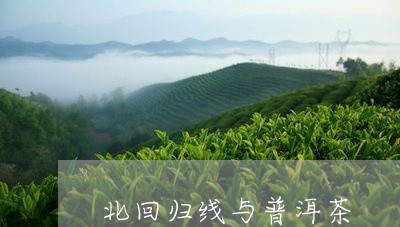 北回归线与普洱茶/2023033045049