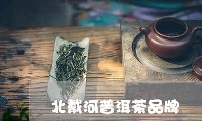 北戴河普洱茶品牌/2023041030603