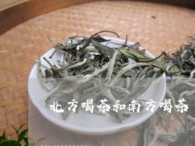 北方喝茶和南方喝茶/2023041674827