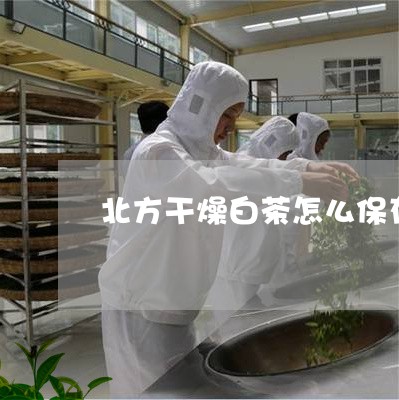 北方干燥白茶怎么保存最好/2023040191738