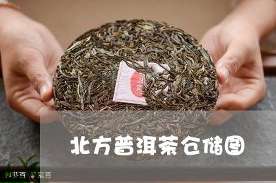 北方普洱茶仓储图/2023041010482