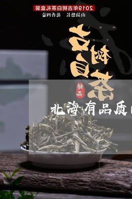 北海有品质的福鼎白茶招商/2023040110504