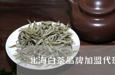 北海白茶品牌加盟代理电话/2023040117484