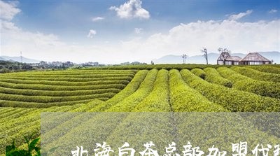 北海白茶总部加盟代理电话/2023040196259