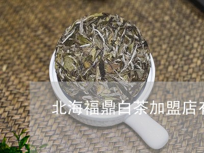 北海福鼎白茶加盟店有哪些/2023040148151