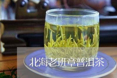 北海老班章普洱茶/2023041284938